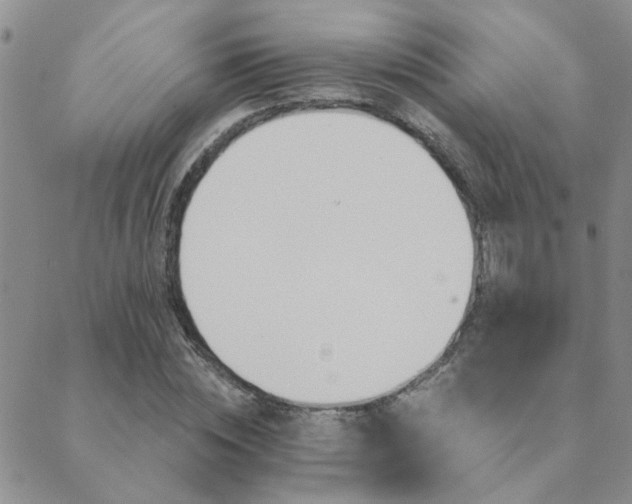 X0000089720828200706211406