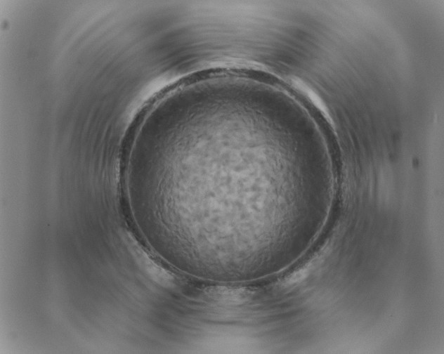 X0000089720831200706211406