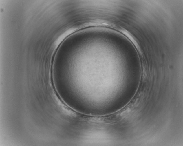 X0000089720861200706211407