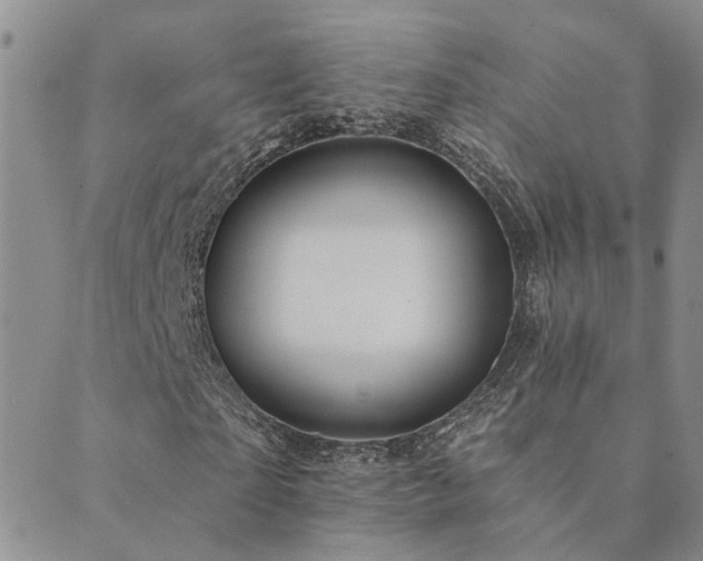 X0000089720865200706211406
