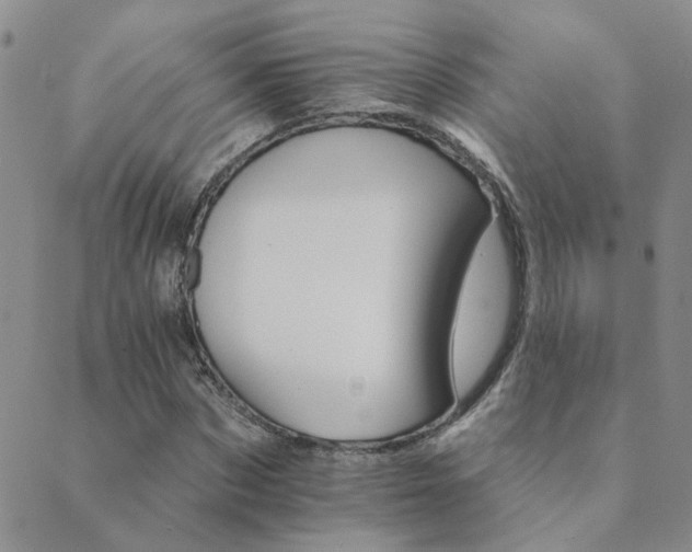 X0000089720873200706211406