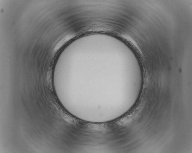X0000089720874200706211406