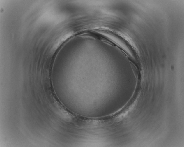 X0000089720881200706211406