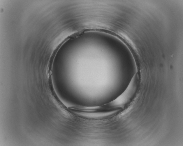 X0000089720885200706211406