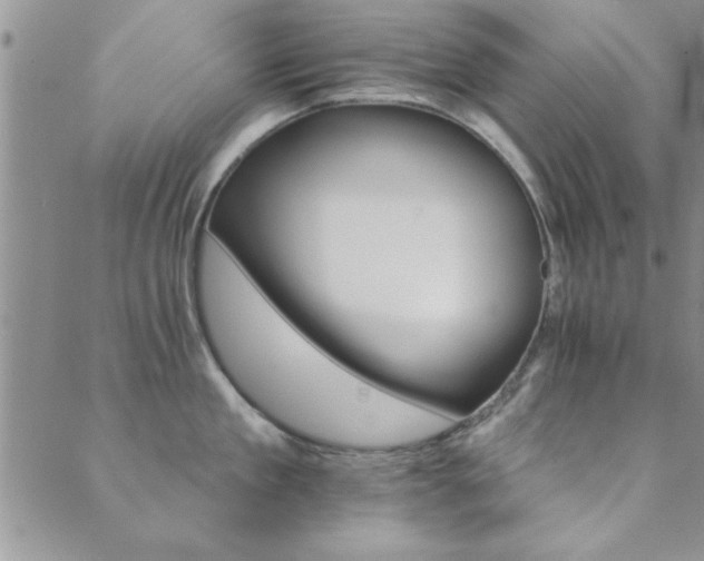 X0000089720909200706211405