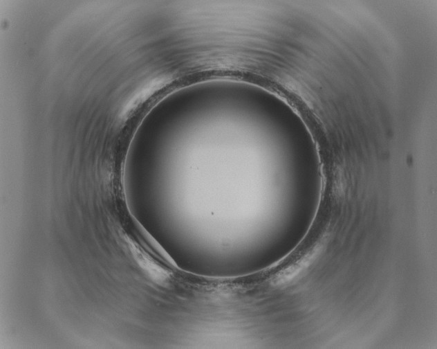 X0000089720922200706211405