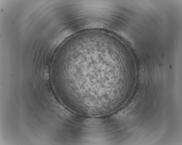 X0000089720929200706211405