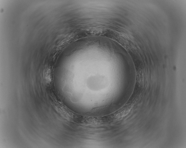 X0000089720962200706211404