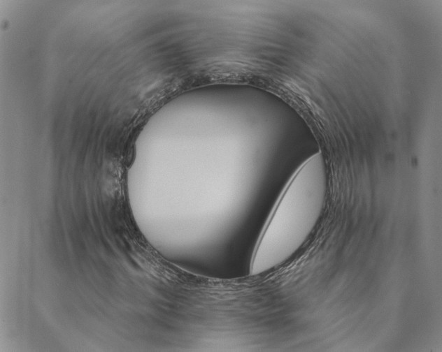 X0000089720964200706211404