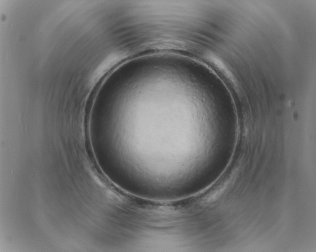 X0000089720986200706211404