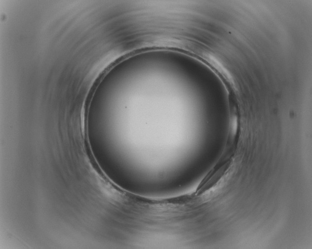 X0000089720988200706211404