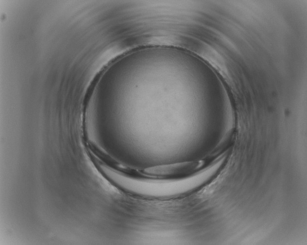 X0000089720992200706211404