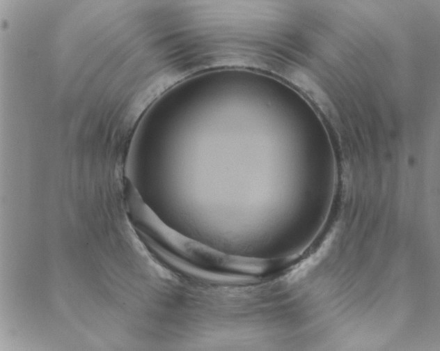 X0000089720993200706211404