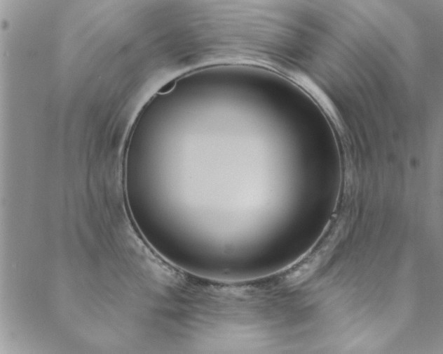 X0000089721004200706211404