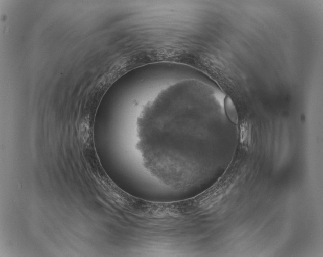 X0000089721011200706211403