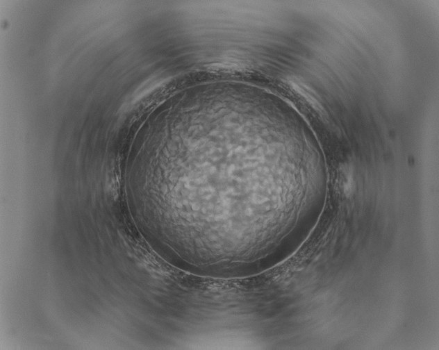 X0000089721015200706211403