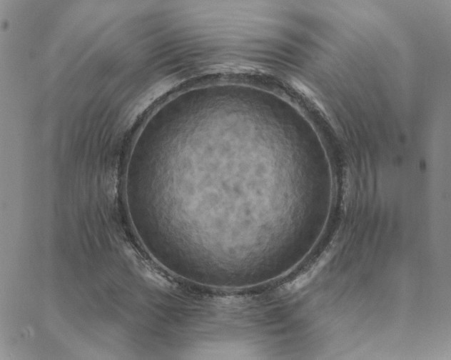X0000089721017200706211403