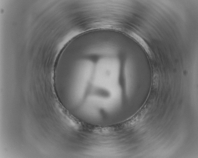 X0000089721051200706211404