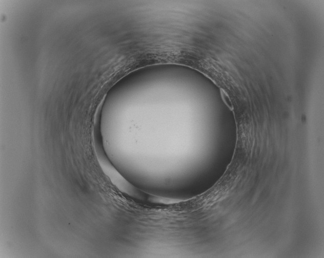 X0000089721057200706211403