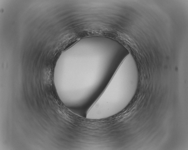 X0000089721060200706211403
