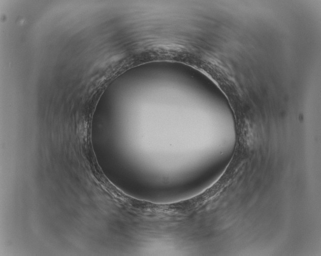 X0000089721061200706211403