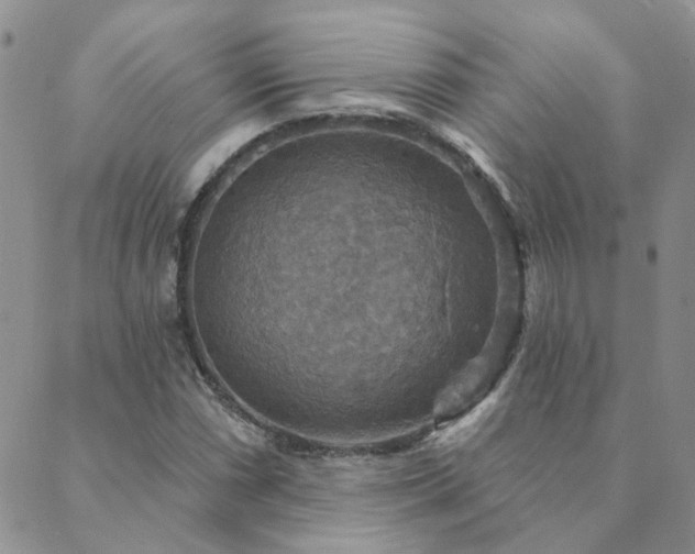 X0000089721066200706211403