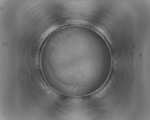 X0000089721074200706211403