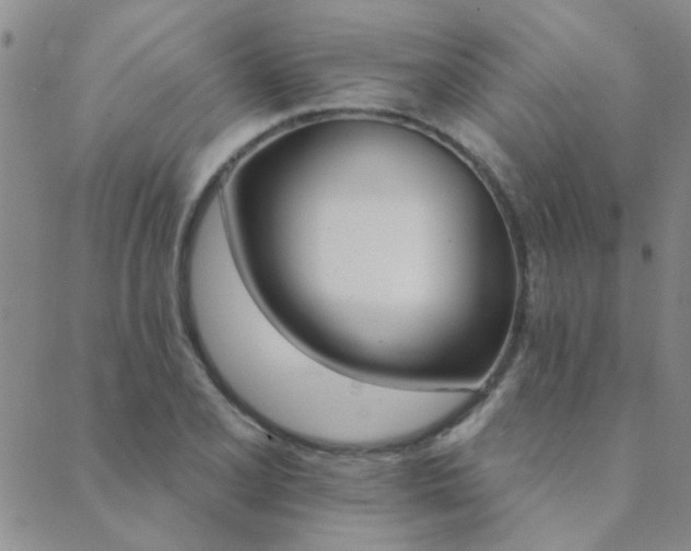 X0000089721077200706211403