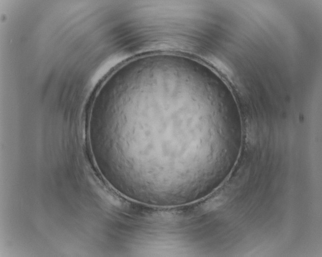 X0000089721078200706211403