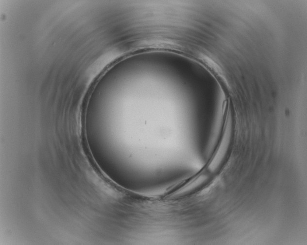 X0000089721082200706211403