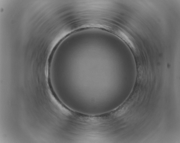 X0000089721084200706211402
