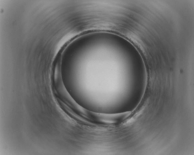 X0000089721085200706211402