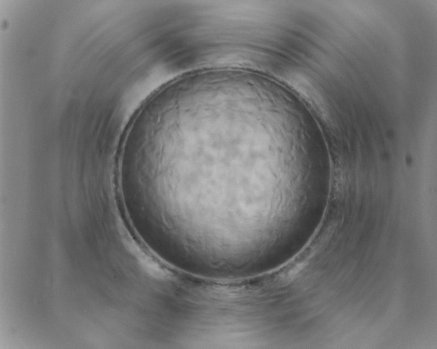 X0000089721086200706211402