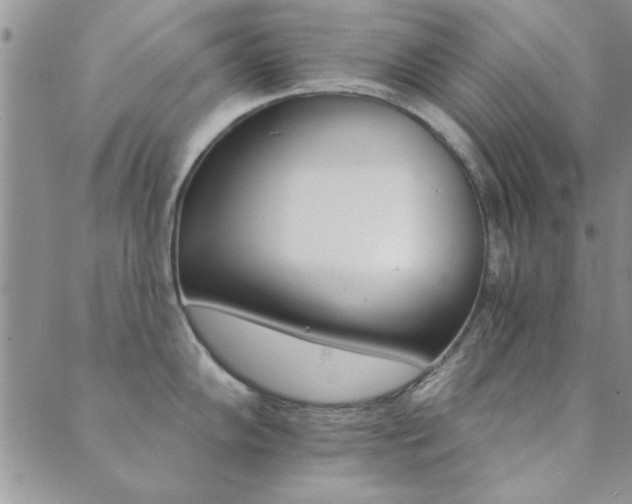 X0000089721102200706211402