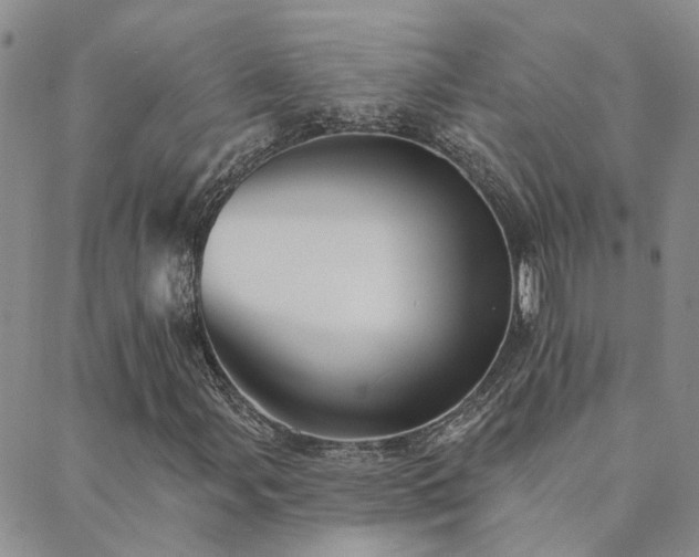 X0000089721107200706211401