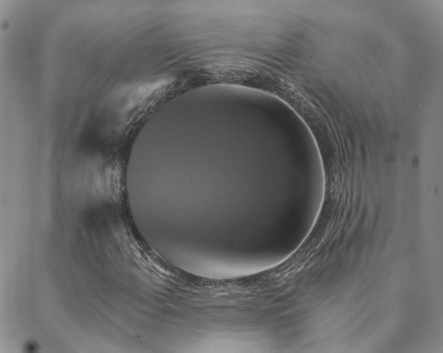X0000089721108200706211401