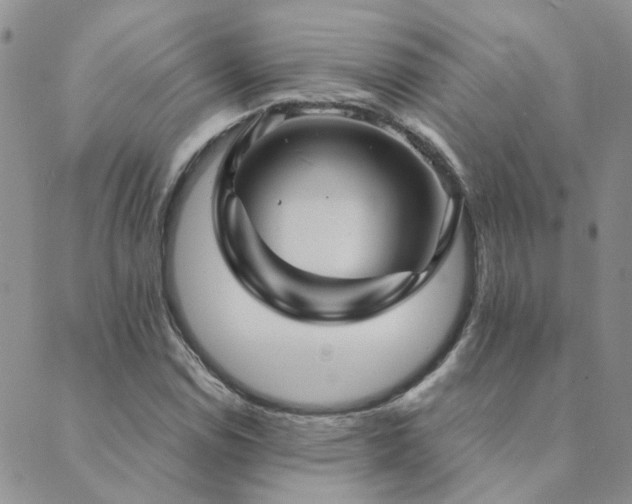 X0000089721114200706211402