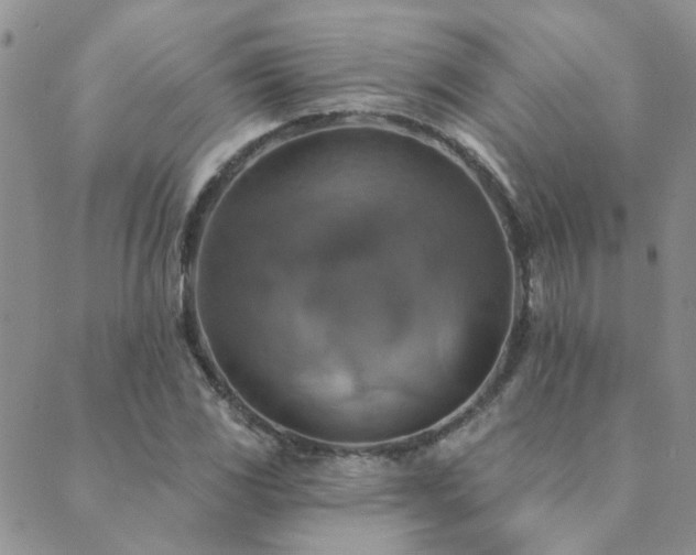 X0000089721117200706211402