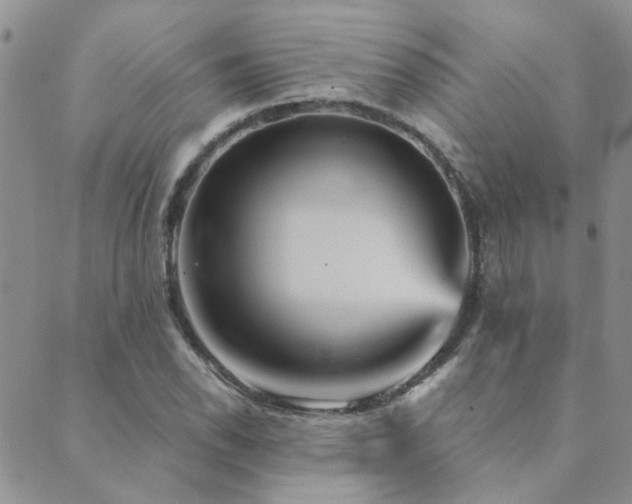 X0000089721118200706211402