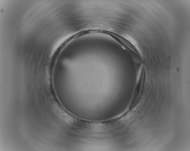 X0000089721120200706211402