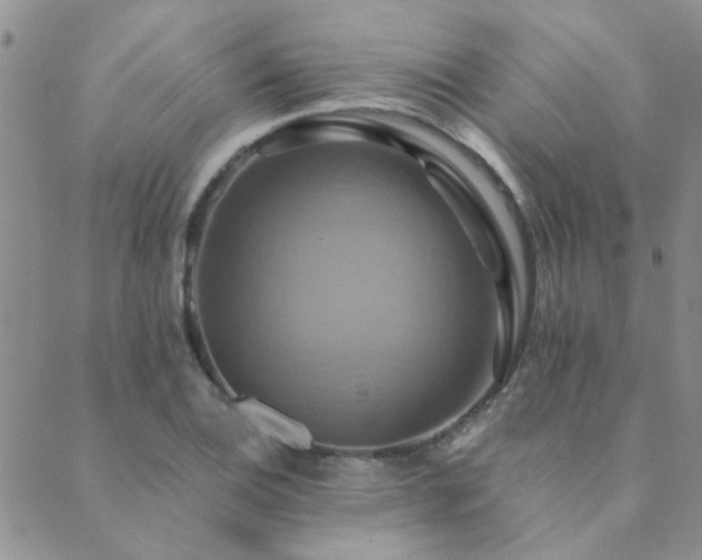 X0000089721124200706211402