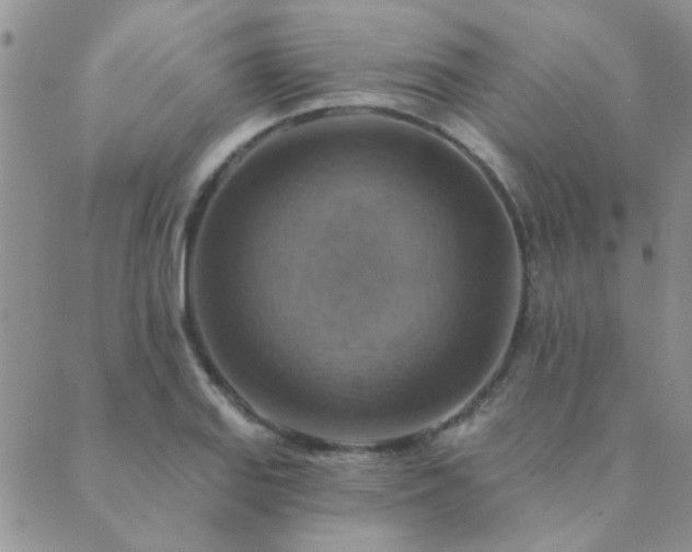 X0000089721127200706211402
