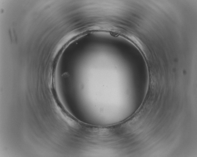 X0000089721131200706211402