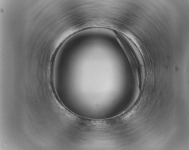 X0000089721147200706211402