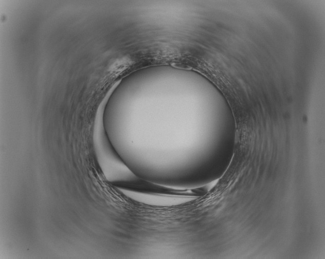 X0000089721153200706211401