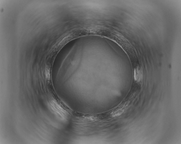 X0000089721155200706211401