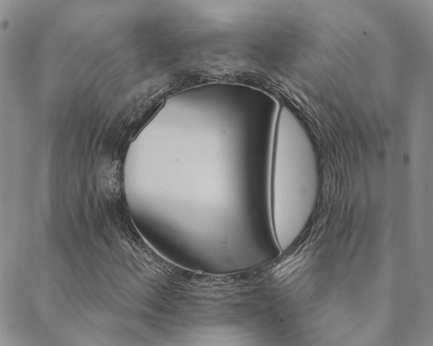 X0000089721156200706211401