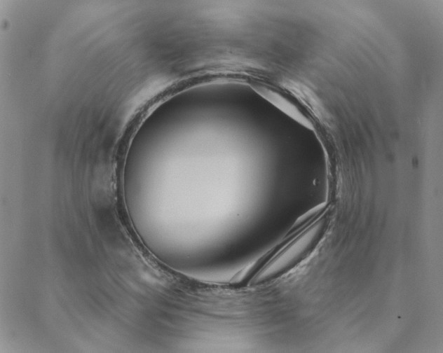 X0000089721164200706211401