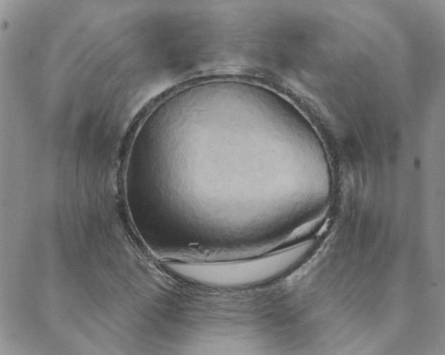 X0000089721166200706211401