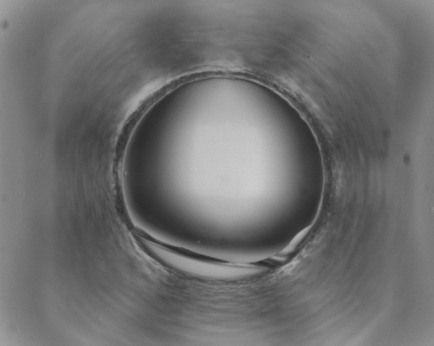 X0000089721168200706211401